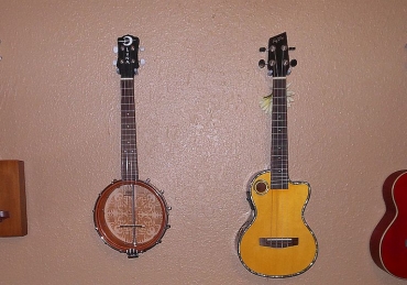 So You Want to Play the Ukelele