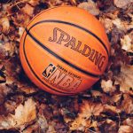 A basketball in a pile of fallen leaves