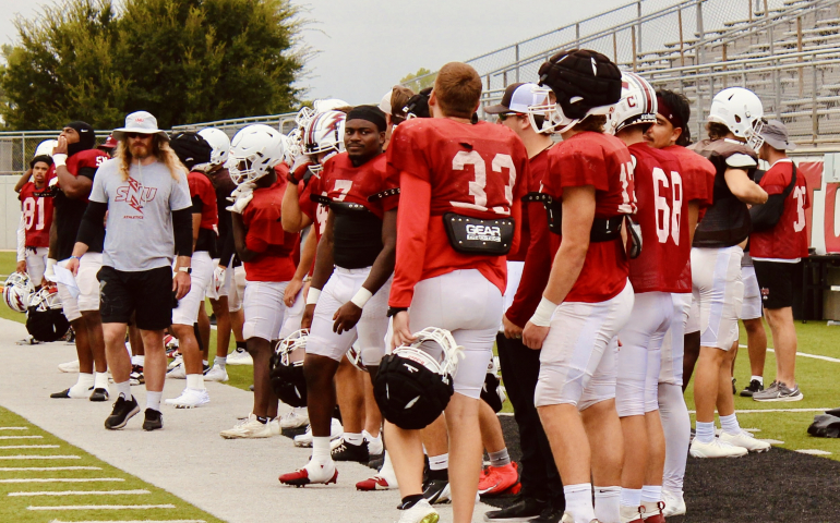 The Power of Noise: The Reason for the Success