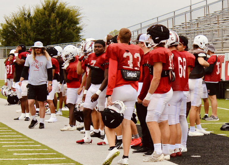 The Power of Noise: The Reason for the Success