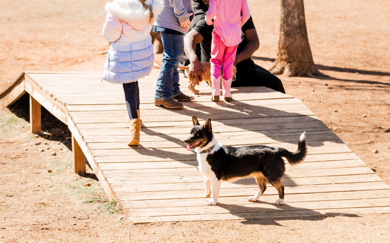 Paw-sitive Companionship: How Pets Help Students Cope