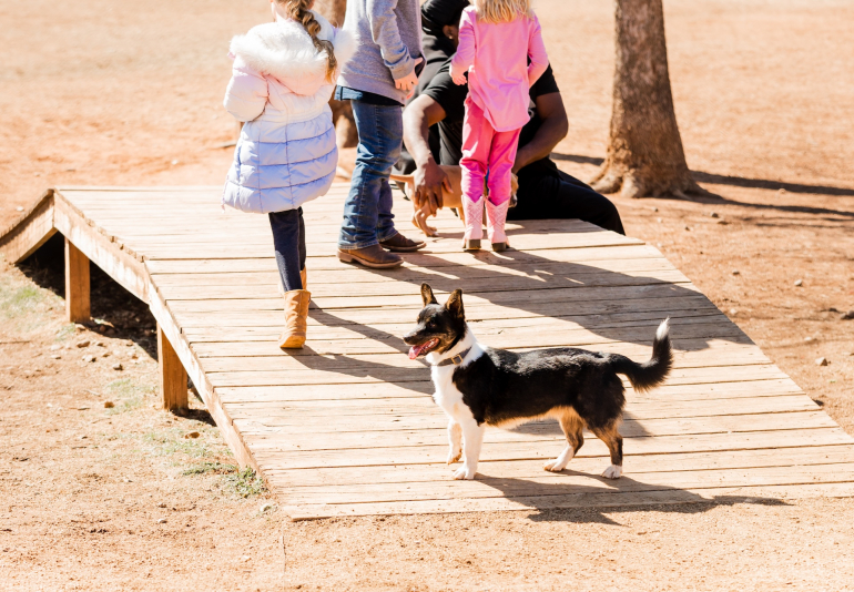 Paw-sitive Companionship: How Pets Help Students Cope