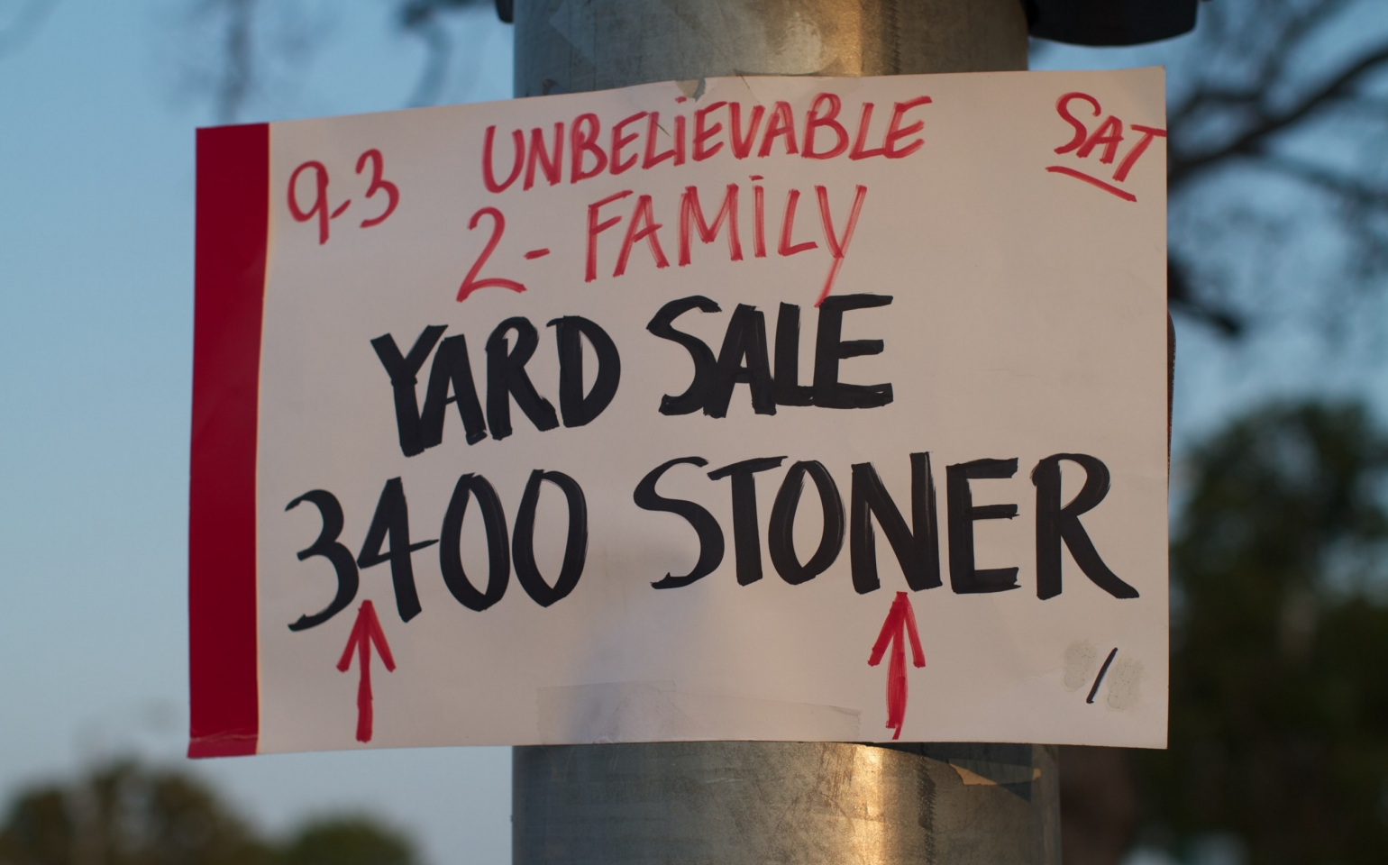 YardSaling for Dummies The Echo