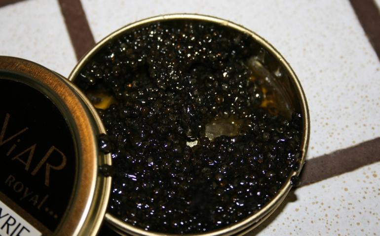 Caviar, Complainers and The Echo