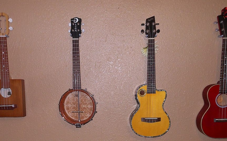 So You Want to Play the Ukelele