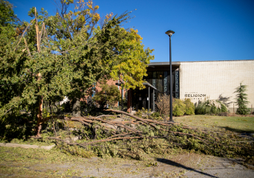 Ice Storm Causes Damage and Power Outages Across Campus