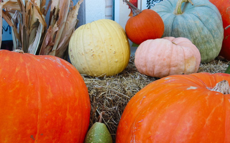 From Food to Football: A Look Into Favorite Fall Festivities   