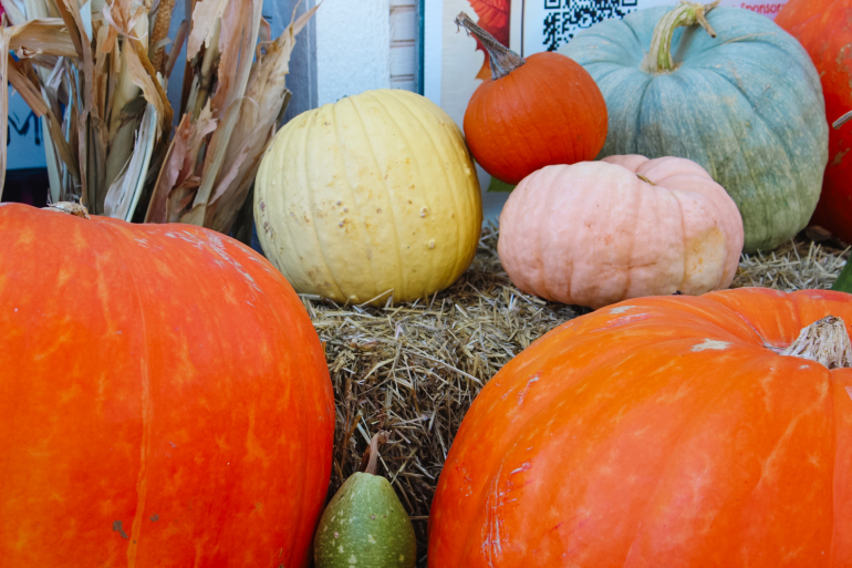 From Food to Football: A Look Into Favorite Fall Festivities   